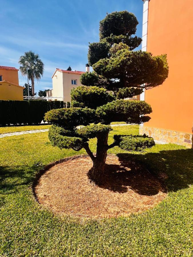 Oliva Nova Beach & Golf Resort Club Sevilla VI エクステリア 写真